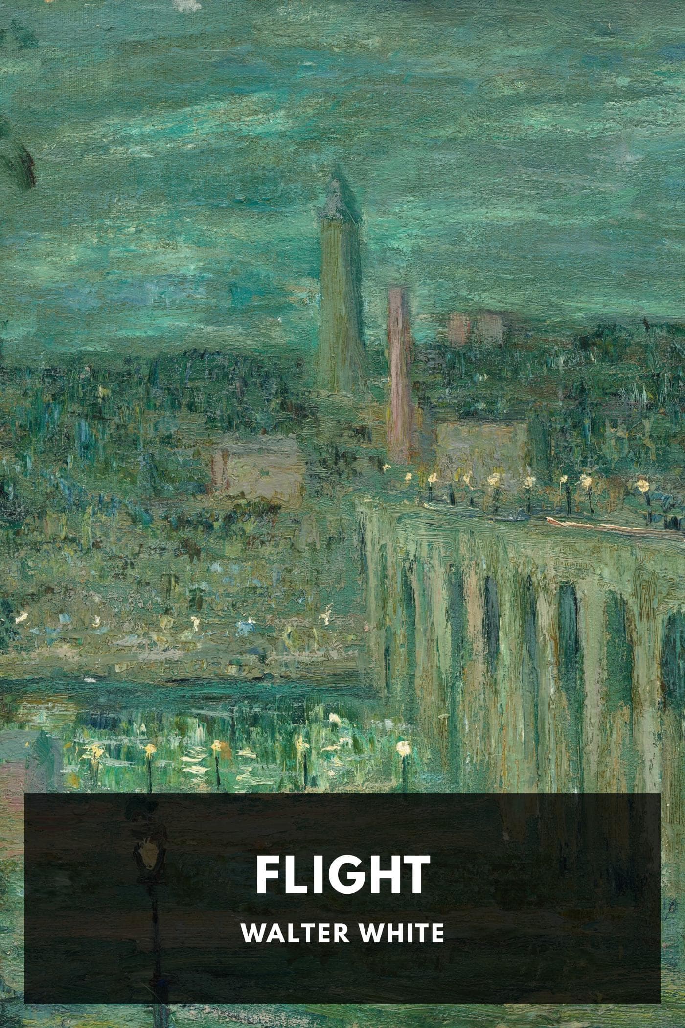 Cover of Flight